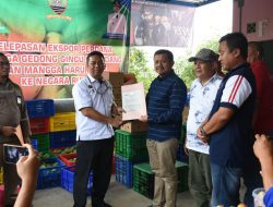 Mangga Gedong Gincu Sumedang dan Harumanis di di Ekspor ke Rusia