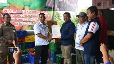 Mangga Gedong Gincu Sumedang dan Harumanis di di Ekspor ke Rusia