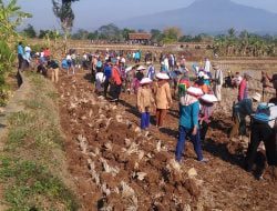 Masyarakat Situraja Utara Bergotong Royong Buka JUT