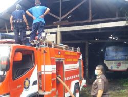 Khawatir Jadi Penyebar Corona, Damkar Sumedang Usir Ratusan Kelelawar