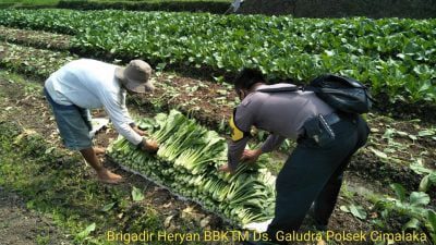 Bhabinkamtibmas Desa Galudra Sosialisasikan lembur Tohaga Lodaya dan Ketahanan Pangan