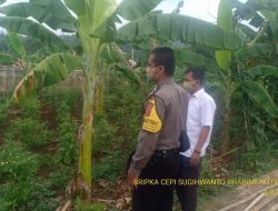 Cek Lembur Tohaga Lodaya, Bhabinkamtibmas Ciuyah Sosialisasikan Prokes AKB