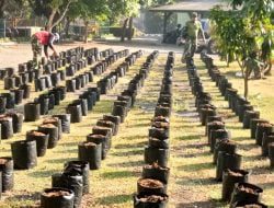 Atasi Kesulitan Ekonomi, Dandim Instruksikan Tanam Sayuran di Pekarangan
