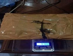 Sat Reskrim Polres Sumedang Ungkap Kasus Narkotika Jenis Ganja