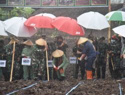 Bupati Sumedang Hadiri Penanaman Bibit Jagung Hibrida