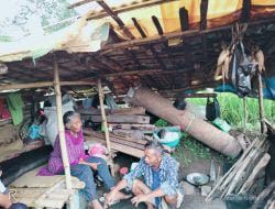 Viral Lansia di Sumedang Tinggal di Gubuk Tengah Sawah, Begini Fakta Sebenarnya