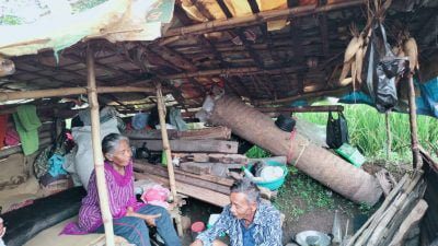 Viral Lansia di Sumedang Tinggal di Gubuk Tengah Sawah, Begini Fakta Sebenarnya