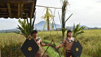 Upacara Tradisional Budaya Adat Sunda “Mitembeyan Mapag Kersa Nyai” Digelar di Padasuka