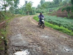 Miris, Kondisi Jalan Lingkungan di Desa Cijeruk Semakin Rusak Parah