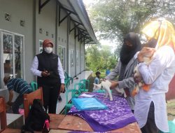 Dinas Peterpen, Vaksinasi Hewan Penular Rabies