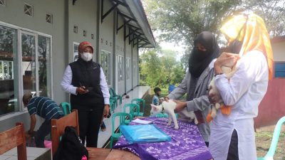 Dinas Peterpen, Vaksinasi Hewan Penular Rabies