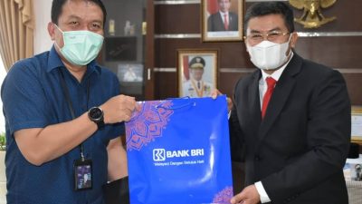 Keberadaan BRI Diharapkan Bangkitkan UMKM