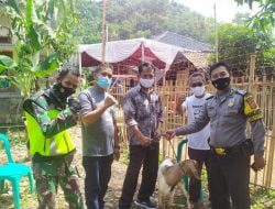 Apresiasi Kinerjanya, Duo Babin di Sumedang Dihadiahi Kambing Oleh Warga