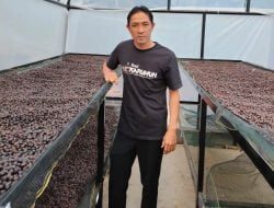 Punya Potensi untuk Berkembang, Ini Harapan Petani Kopi Karuhun