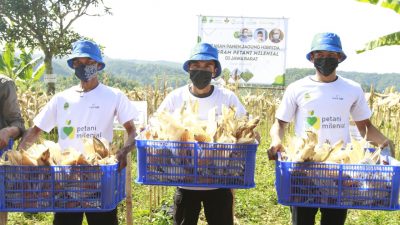 Dukung Kesejahteraan Petani Jagung, bank bjb Luncurkan KUR Petani Milenial