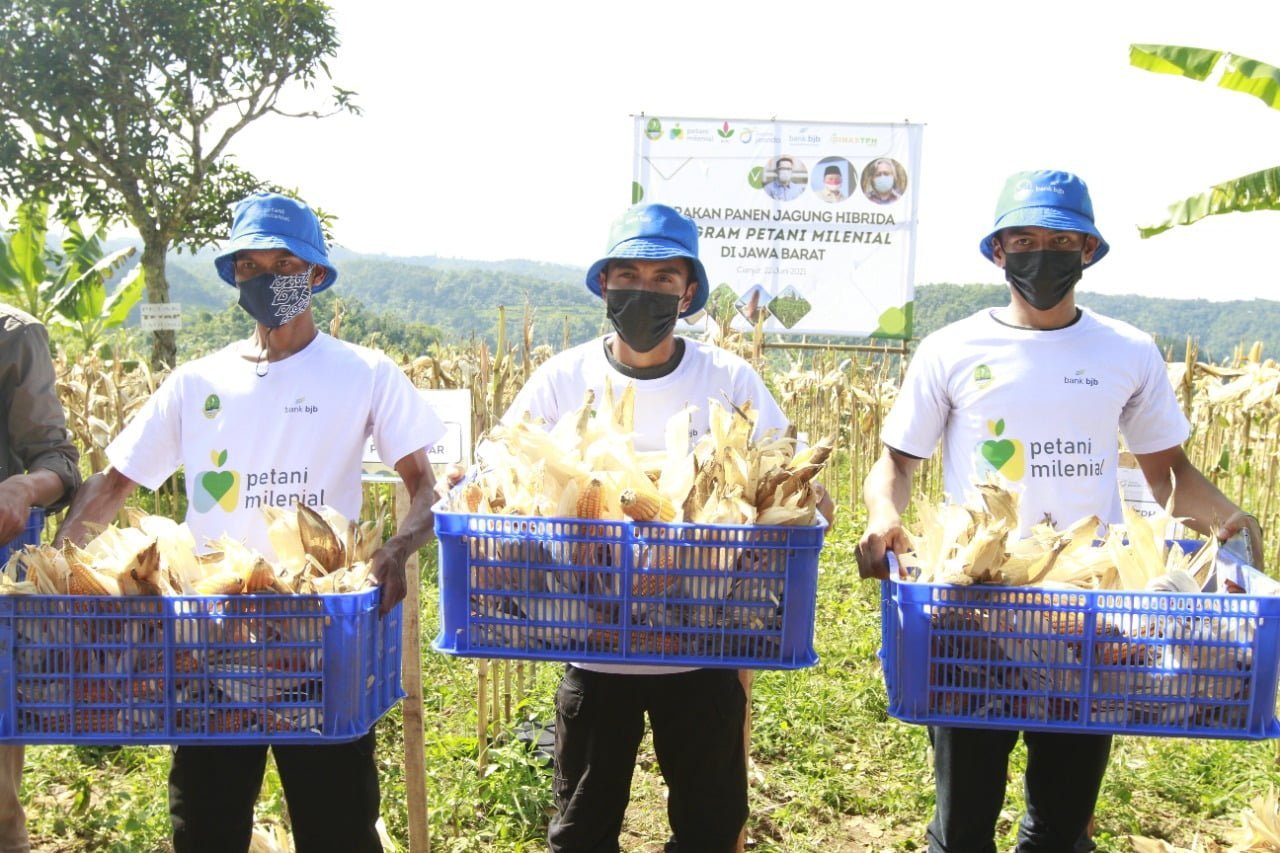 KUR Petani milenial
