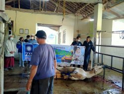 Neng Farah DPR RI Dari PAN Kurban 3 Sapi di Sumedang
