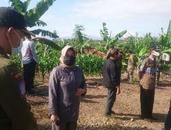 Sulap Lahan Tandus Jadi Subur dan Bermanfaat, Titus Apresiasi Kodim Sumedang