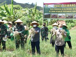 Pangdam III Siliwangi Tinjau Demplot Pertanian Kodim 0610 Sumedang