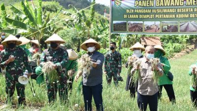 Pangdam III Siliwangi Tinjau Demplot Pertanian Kodim 0610 Sumedang