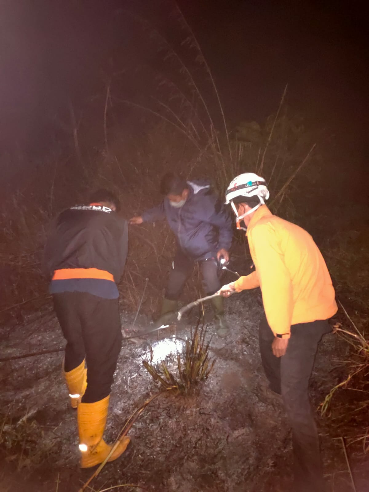 pemadaman kebakaran lahan