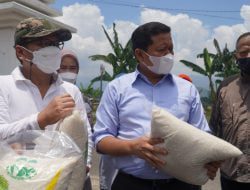 Sumedang Jadi Demplot Percontohan Padi Menggunakan Bio Gro
