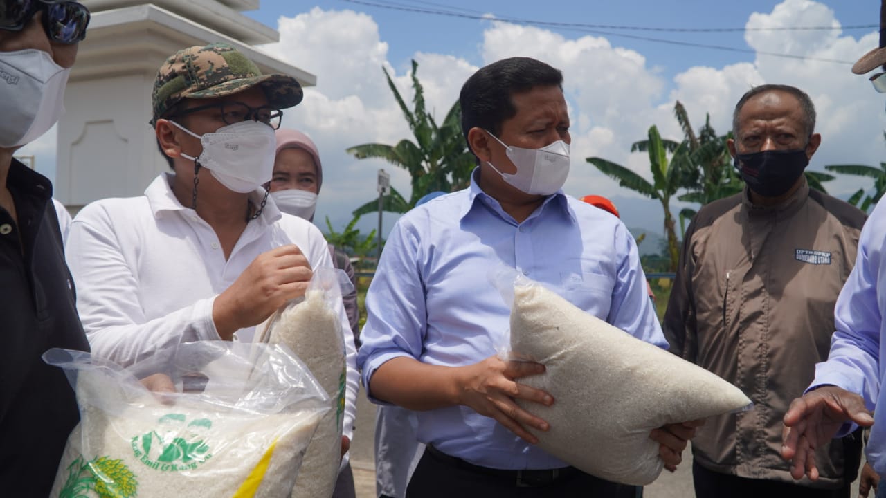 Sumedang Jadi Demplot Percontohan