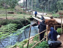 Camping Ceria dan Wisata Mandi Air Dingin di Kaki Gunung Kareumbi