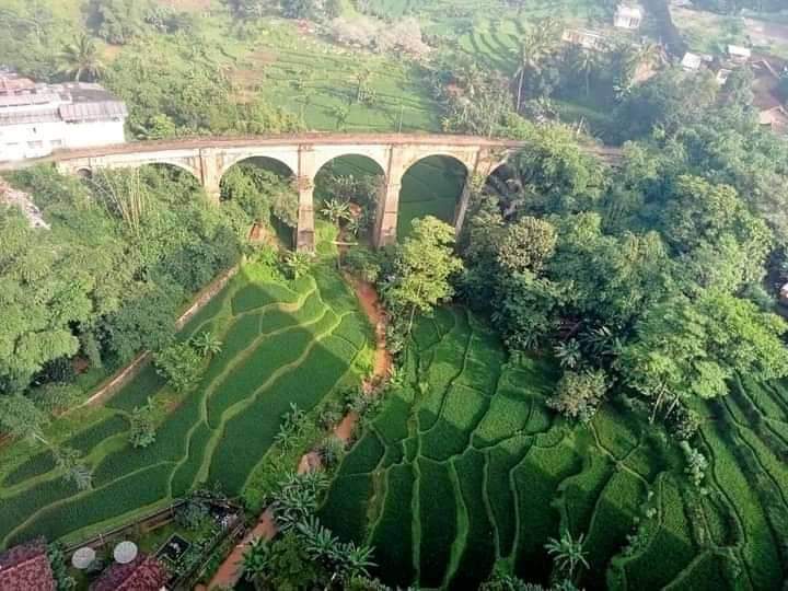 Pembangunan RIPPK
