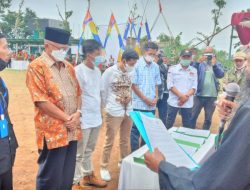 Sosialisasi Pilkades Terbuka, Diisi Ruat Desa Sedekah Bumi