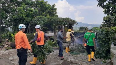 Ancam Pengguna Jalan, Pohon Berpotensi Tumbang di Sumedang Mulai Ditebang