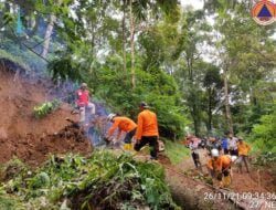 Longsor disertai Pohon Tumbang Tutup Jalan, Akses Sumedang – Majalengka Tertutup Sementara