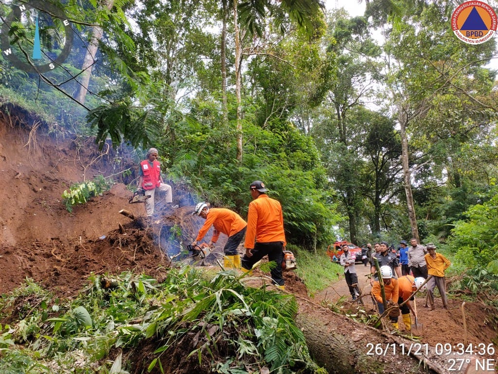 Longsor disertai Pohon Tumbang