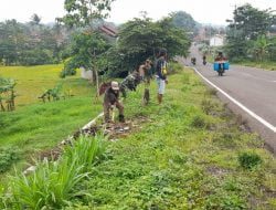 Sepanjang Jalan Lingkar Akan Ditanami Buah-Buahan