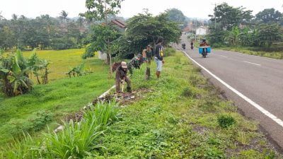 Sepanjang Jalan Lingkar Akan Ditanami Buah-Buahan