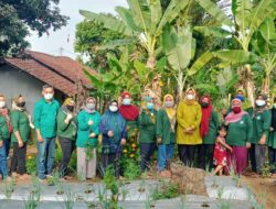 Pertanian Terintegrasi Cara Baru Selamatkan Ketahanan Pangan Di tengah Pandemi