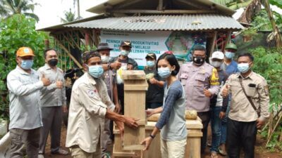 Budidaya Lebah Tanpa Sengat