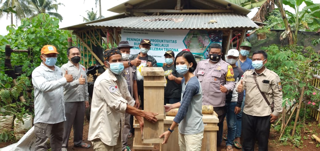 Budidaya Lebah Tanpa Sengat