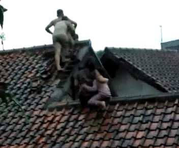 video viral