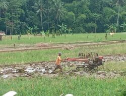 Tantangan dan Harapan Petani Milenial, ini Kata Pengurus ICMI Muda Sumedang