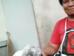 Ternak Kelinci Potensi Bisnis Masa Pandemi Covid-19