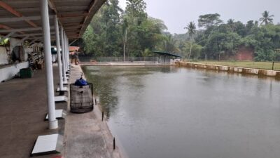 Wisata Pemancingan Semar Mesem