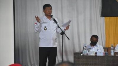 BUMDesa Diharapkan Menjadi Pengungkit Percepatan Pemulihan Ekonomi di Masa Pandemi