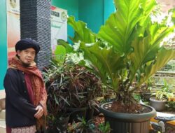 Adakah Tanaman Pembawa Hoki? Simak Yuk Kata Pakar Feng Shui Asal Sumedang