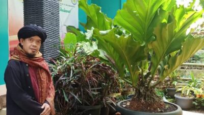Adakah Tanaman Pembawa Hoki? Simak Yuk Kata Pakar Feng Shui Asal Sumedang