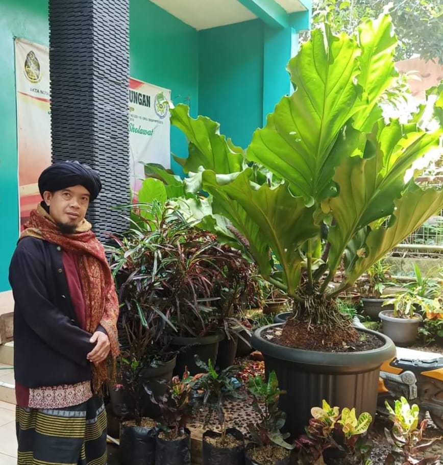Tanaman Pembawa Hoki