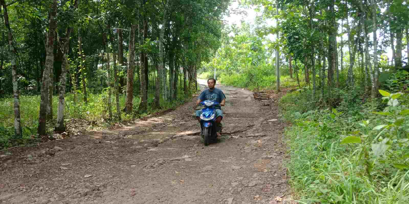 Keluhkan Jalan Rusak