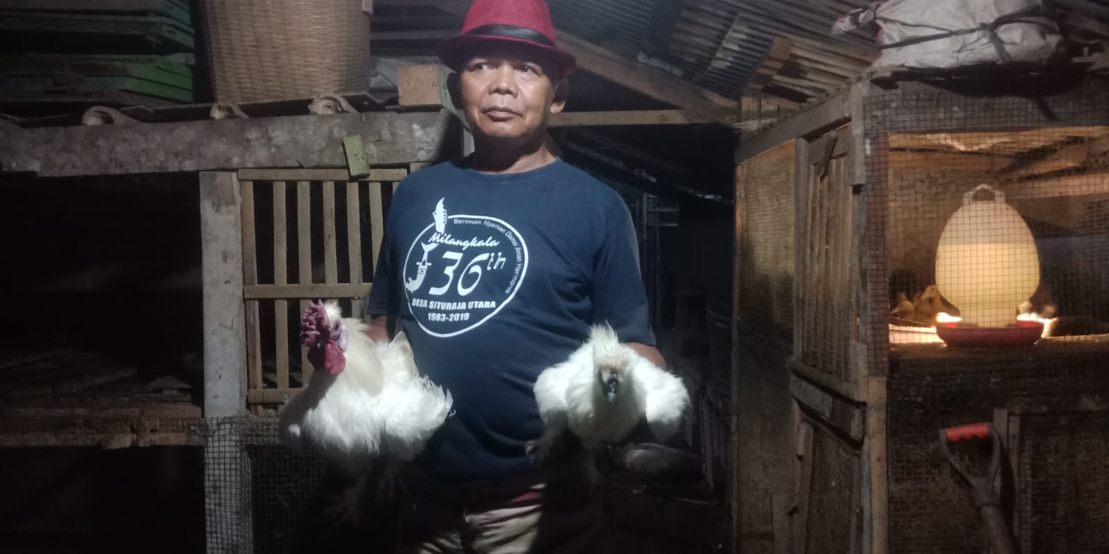 Ternak Ayam Hias