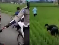 Viral, Hendak Ditilang Polisi, Dua Pemuda Pura-pura Jadi Petani di Sawah Orang