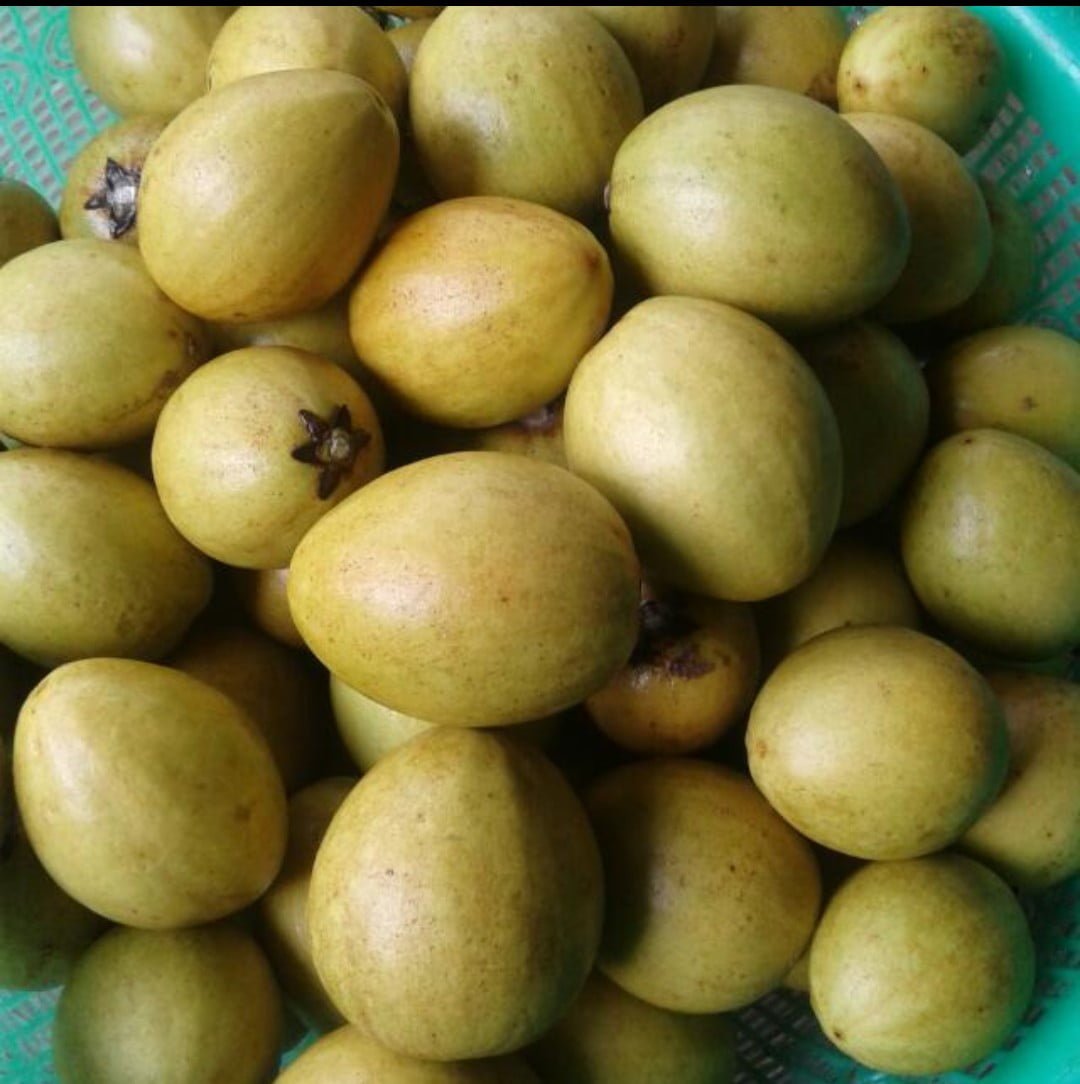 Sawo Sukatali